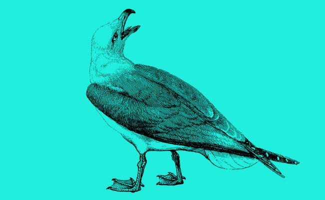 �й������˸���ʵ����,��������̼�