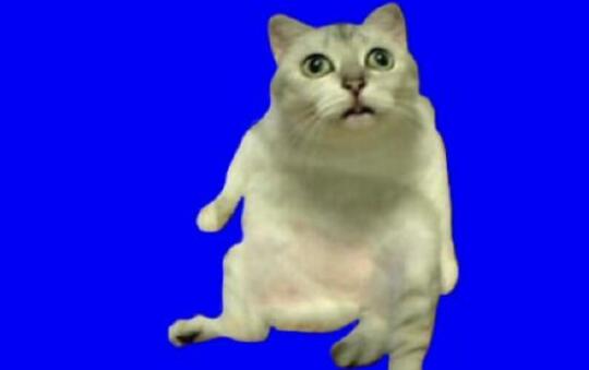 ��ֵ�֪ʶ��������ʲô��?����Ҷ����ҵ�һ��