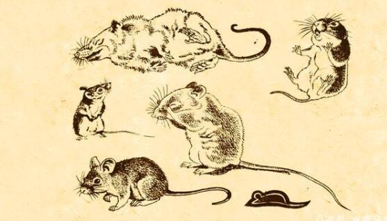 ��������ͼ����,���������Ѿ���һ�ι���