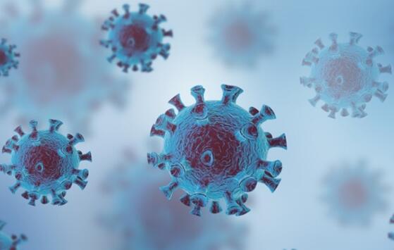 ������Ƭ����������;,��״����֢״���ڱ���