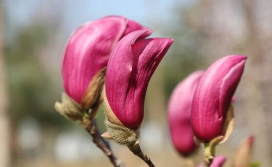 ��־���¹��ϳ����ﵱ����,��������۱�����־��