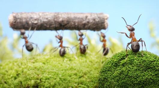 ��������������ߣ�������׺�,�̵����³������¼�