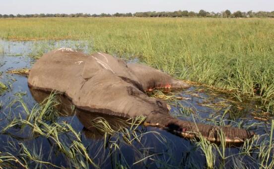 ����ͷ������������,����ϸ����������ͷ��������