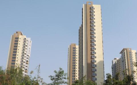 ɽ���ƾ���ѧ����ŵ�粡����Ⱦ,ŵ�粡����Ⱦ֢״