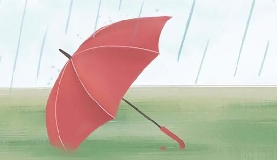 �����ϳ���С�������ô���£����ҽ��Ľ���