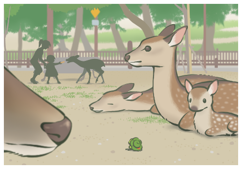 ë����ʲô�������ϵ�?ë�����ĸ���λ��