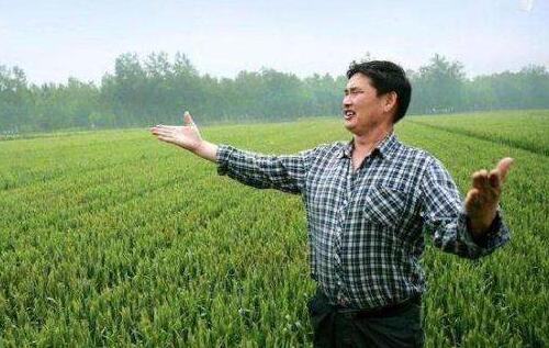 ý���������ڱ���ԭ��2,���¸����Ů��˿��͵˰?