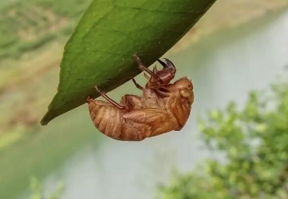 ��֪�˺�Ľ���,Ů�˳Խ���ĺô�