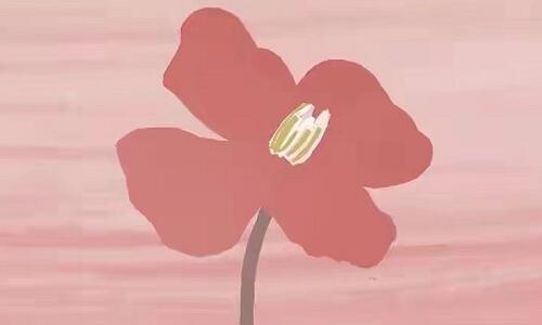 ÿֻЬ��һ����Ѫ���Ϳ�����Ь����ŭ