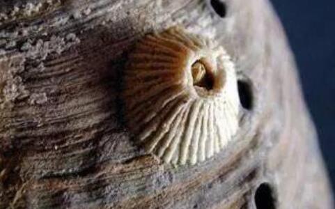 �ٺ���ʲô���������ٺ������ж���£�