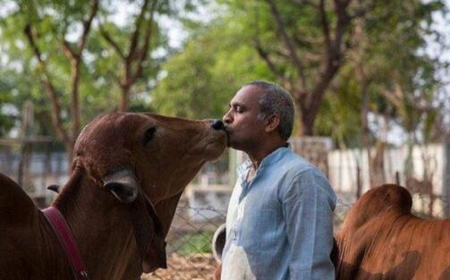 ӡ����ǧ������ţ����ף��,����ţ��Խ��Խ�Ҹ�