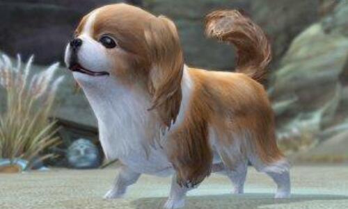 ������ʪ����ô�죿�����˽�Ӥ�׶�ʪ��