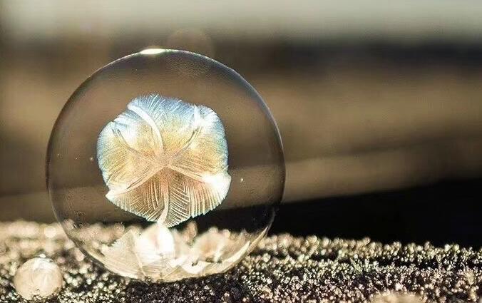 �����߶���ñ��ر���Ϊ��������,�׸������ر���Ϊ�������ҵĹ�