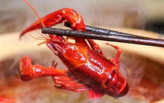 С��Ϻ�Ե�һ��ͻȻ����һֻ,С��Ϻ���ܺ�ʲôһ���?