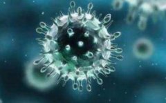 �����ݳ���������ʼĩ,ҽԺ��Ա���������г�