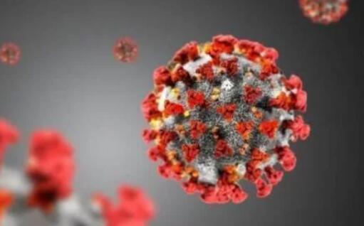 ��ý�������ܣ����ƻ��Ի�Ͷ�Ź�״��������