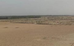 �����������Ե������𣿵�������ÿ�����϶�Ҫ...