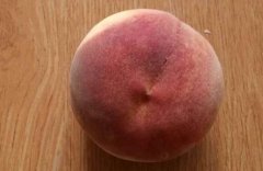 ��ը����ʲôƷ�֣���ը���ӿ��Գ���?