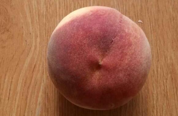 ��ը���ӿ��Գ���