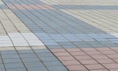 ��ɯ��������Ů˾���ﻪ����2����,ֱ����Ŀ��ͣ����