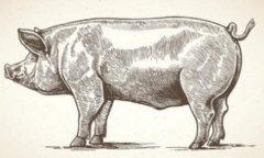 ������������˽����������������,���淶������������