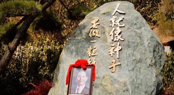 Ԭ¡ƽ������ʽ����仰�����Ʒ�