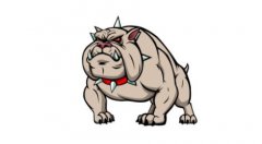 �м�ί�����ϰ�����ҧ���¼�,����ֹ�ڵ�Ǹ