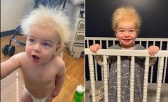 ������Ӥ����������ͷ���ۺ���,������׼���Լ�������