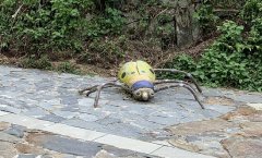 Ů�ӽӴ�ù�����׺�β��������,�¾�����������ֳ�Ϊʲô