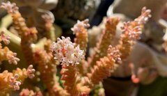 ����ǰ��ͳ���Ȼݻ��ر�����,���Ȼ��״ι�����������