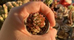 ɽķ���пͷ���Ӧ�¼��½���Ʒ,Ů�������������Լ���