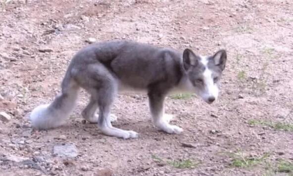 ����һŮ�Ӵ��ַ��ߵ�,���������ⱻ����