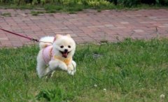 �¾������úӱ������öľ�,������ÿ����ע���򲻵�