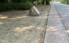 �ͺ���ͦ�й�������,���ʰ�ί���Ա��ͦ�������»�