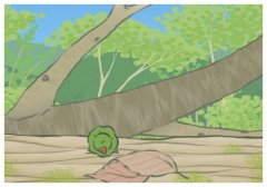 ����һ����ͻȻ����ľ��ӣ���һ����ͻȻ�����˵˵