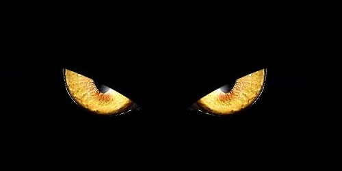 �ڿ�����ͳ����ݵǷ��ʻ���