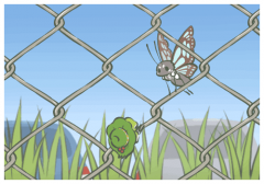 æµ������ܳ�ʵ��˵˵,�����ĵĸɾ��̾�