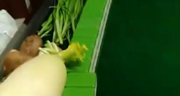 �Ϻ�������齫���߲˵�����