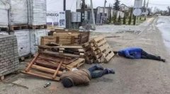 ����˹��ϣ�����鲼���¼�,ʲô�ǻ��������¼���