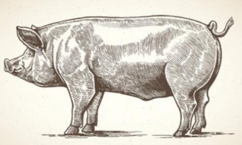 ������������ֲ���˻�������������