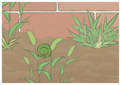 ӡ����������������ֹС�����,����Աʲôʱ�򷵻�?