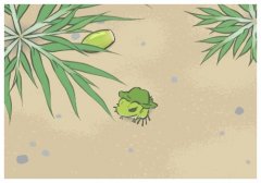 ɹ�˺�Ƥ��������ô�޸���Ƥ��ɹ�˷�����ô�죿