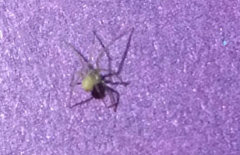 ������ҵ��ѧ���ܾ������繥��,����΢����������ͨ��