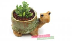 �����ͯ������,���Ҷ���ʮ������Ķ���