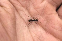 ���ϵ������ʲô�����������ʲô��ĸ