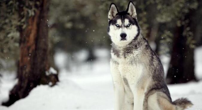 ����������ÿ�Ĺ�