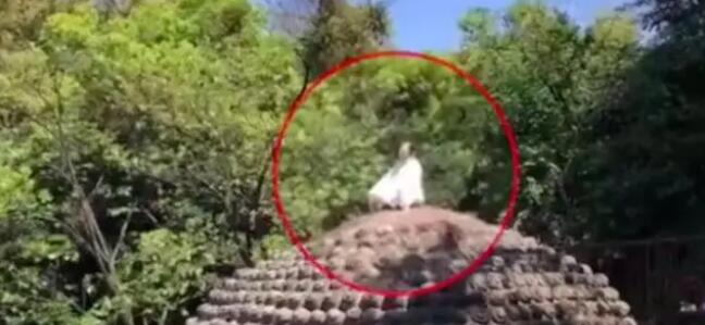 Ů��������ɽ���ͷ�����ȴ���