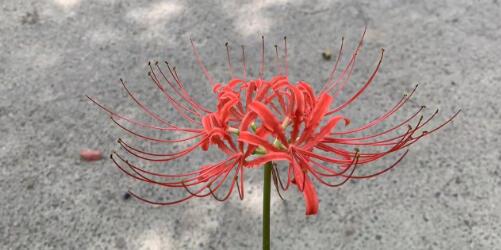 �Ͼ�ӣ����ѹ���ʱ��