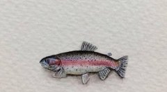 �޷����Ǻ��㻹�Ǻ��㣿���㲻�������������