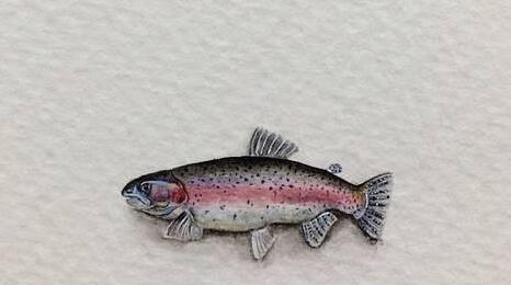 �޷����Ǻ��㻹�Ǻ���